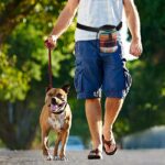 Pet Training Package Surfing Makes Me Happy White One Size