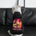 Pet Suit with Hat All I Want Is Just to Surf
